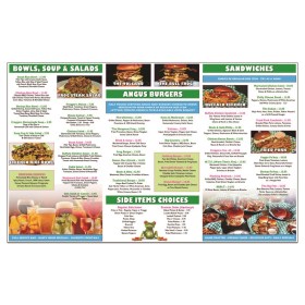 Froggers_Trifold_800x800_back